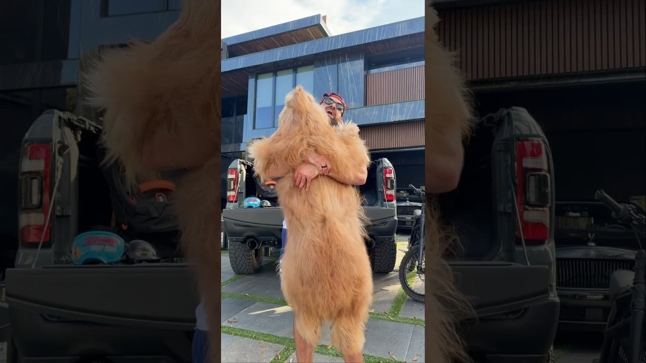 How this BIG dog fits in my backpack! 🎒🐶 #dogbackpack #goldendoodle #dogdad