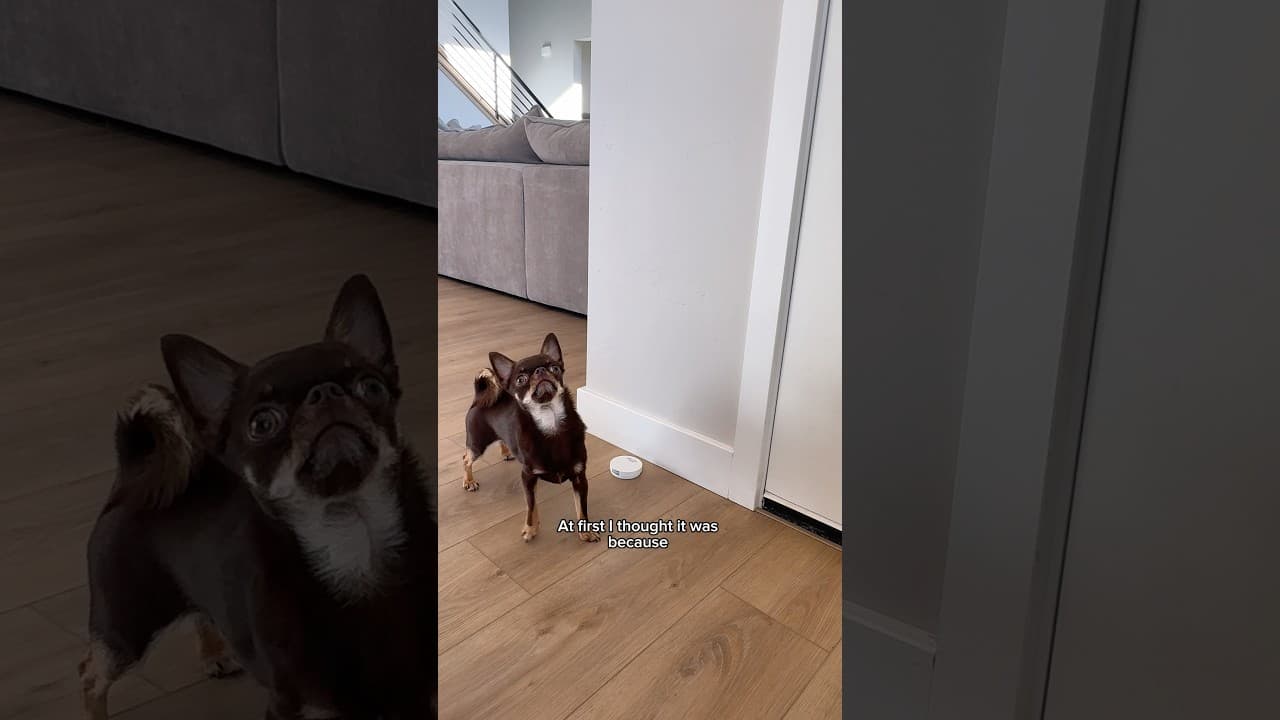 I’m so emotional over this🥹❤️