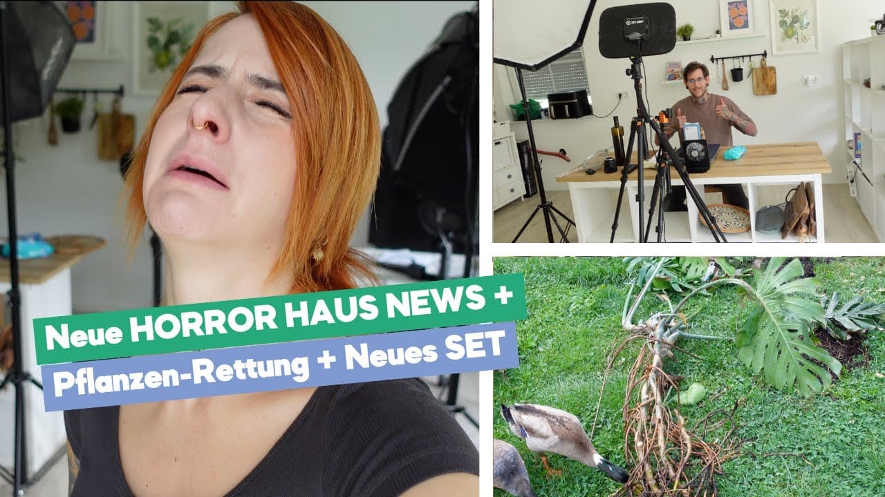 Haus-Chaos ohne Ende | Pflanzen Rettung | Neue "Küche" im Anbau | Weekly Vlog 017-25