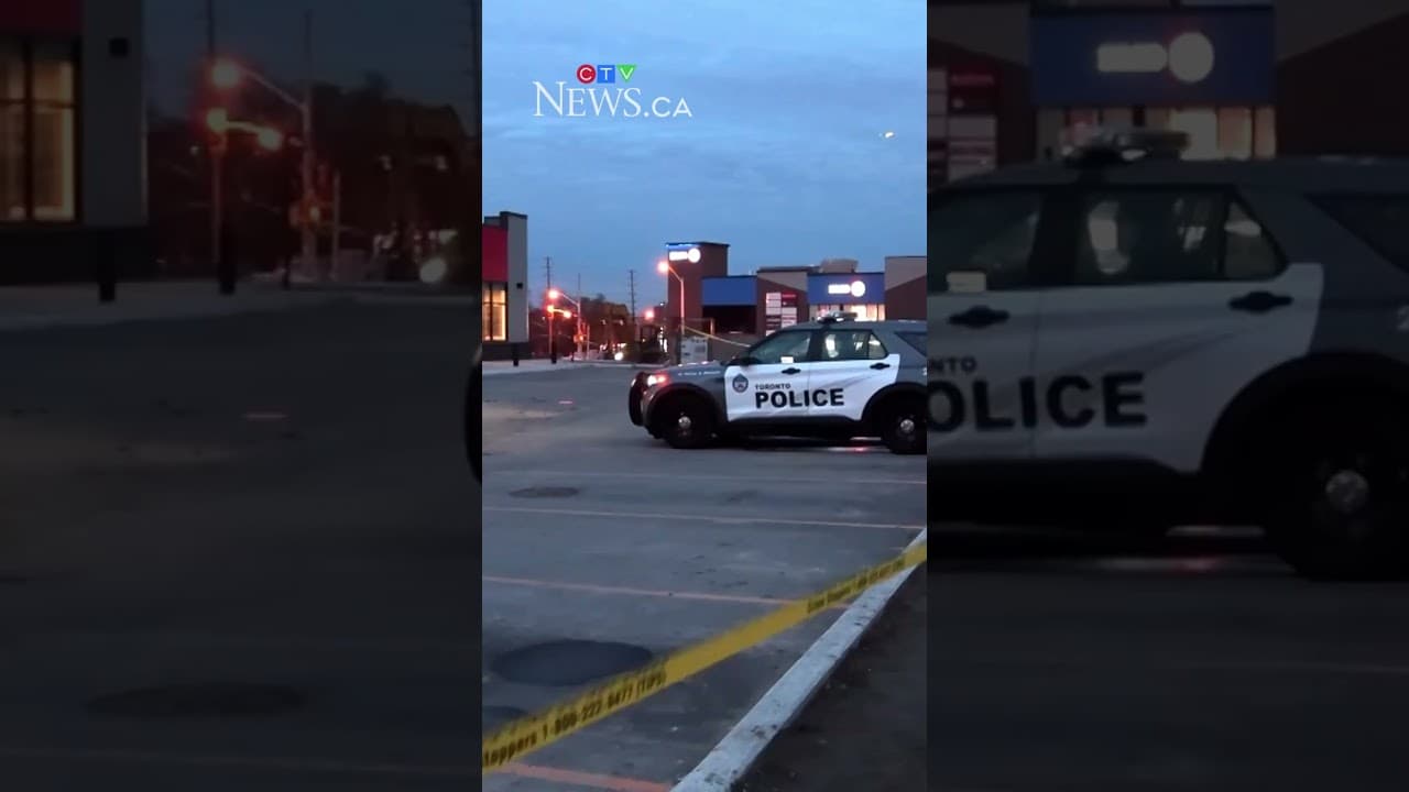Thieves use backhoe to break into Etobicoke bank