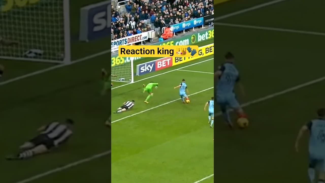 Reaction king 👑🧤