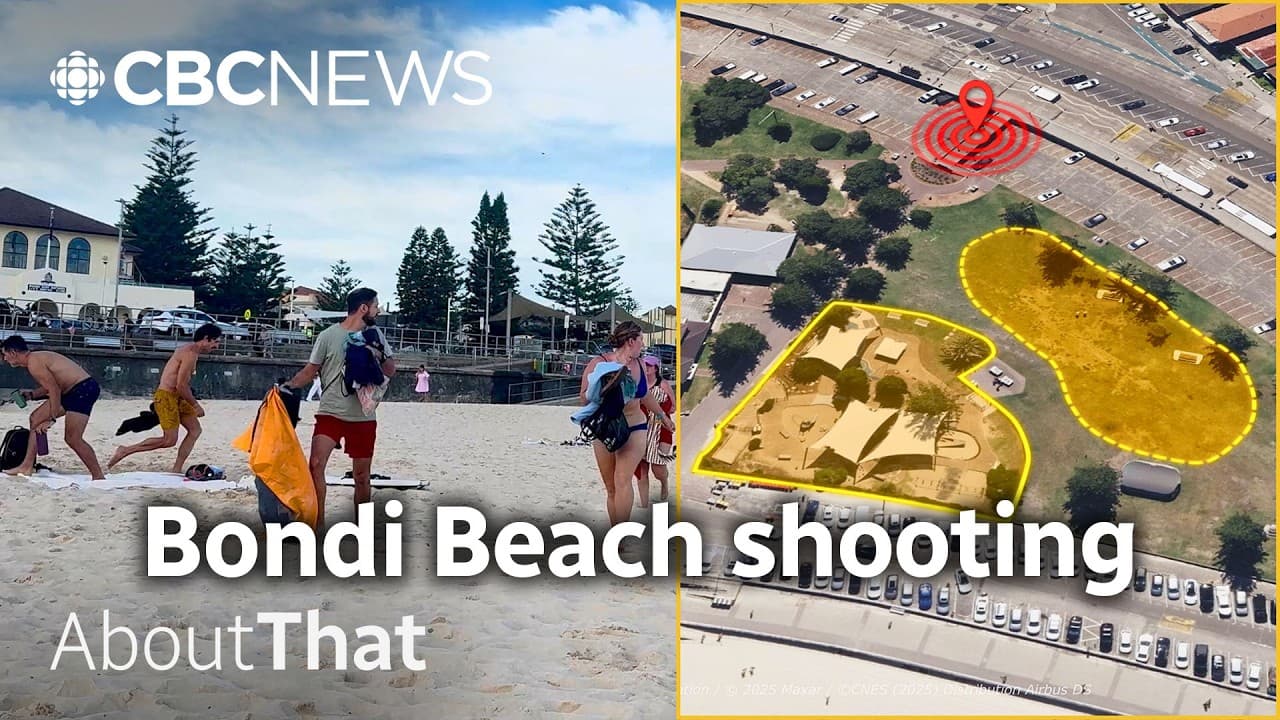 Australia mass shooting: How it happened | About That