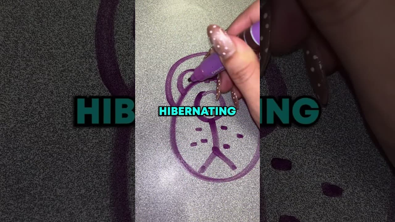 How to Draw a Dogh🐶😮