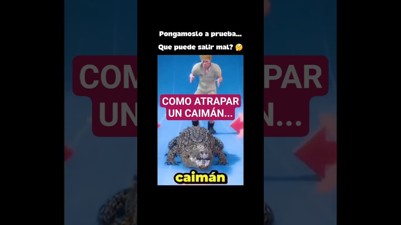 Pongamoslo a prueba... Qué puede salir mal? 🤔