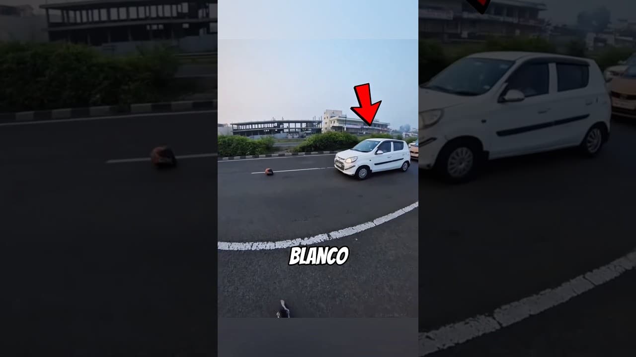 Un Coche se Detuvo y lo Salvó ❤️