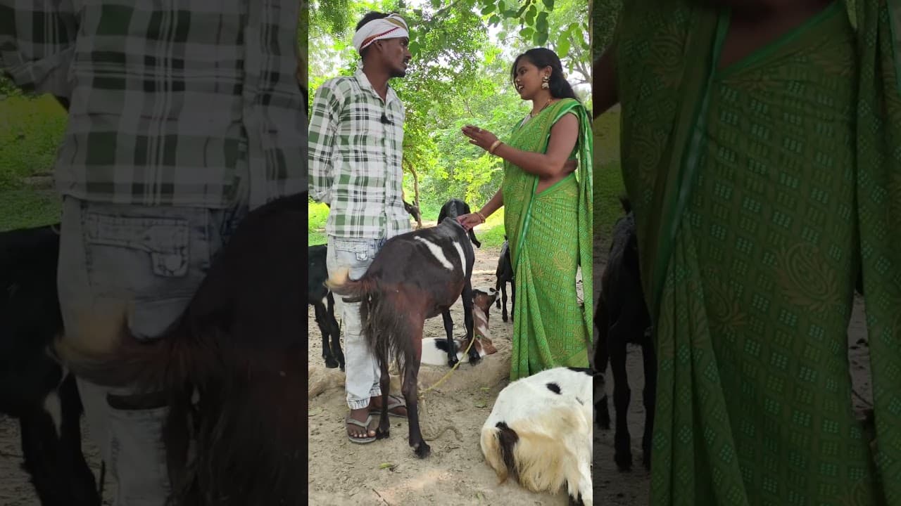 न्यू ट्रेंडिंग रियल शॉर्ट कॉमेडी वीडियो वायरल फनी