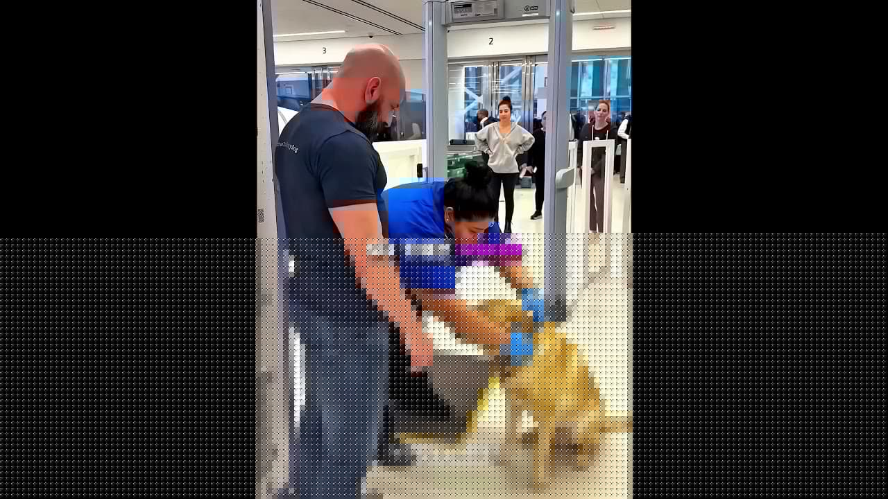 The Flying Dog 🐶❤️‍🩹 (@usalife21/TT) #shorts