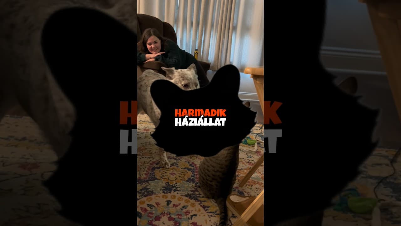 a kutya és cica mellett lesz valami más?