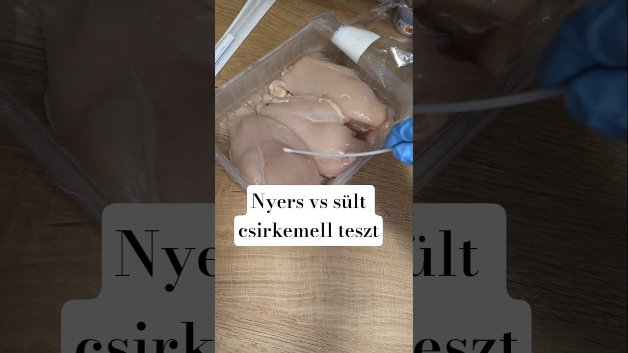 Mennyi baktérium van a csirkemellen? #teszt #agarlemez #baktérium #csirkemell