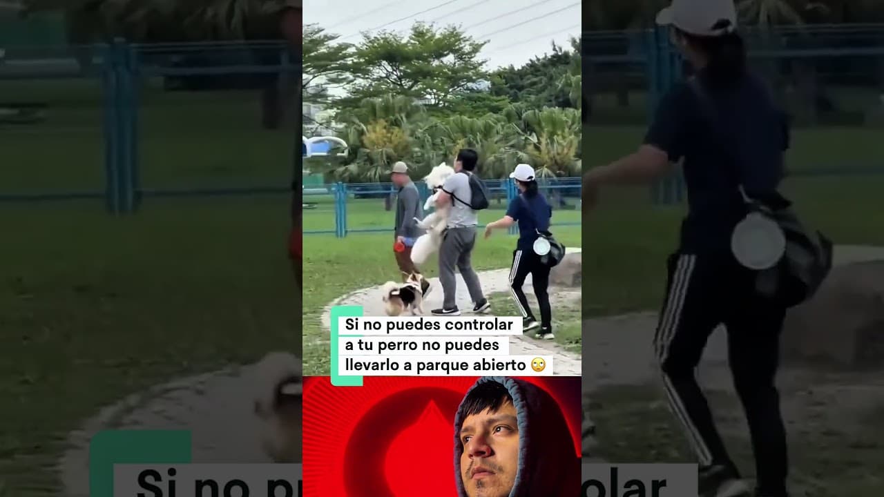 Que abrías hecho tu? 🤔 #fypシ #animales #viralshort