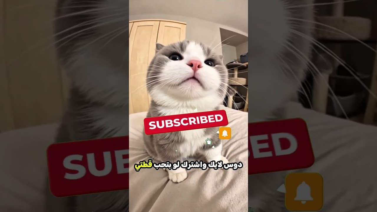 الولد دا نزل كاميرا عشان يشوف الوحش 😲