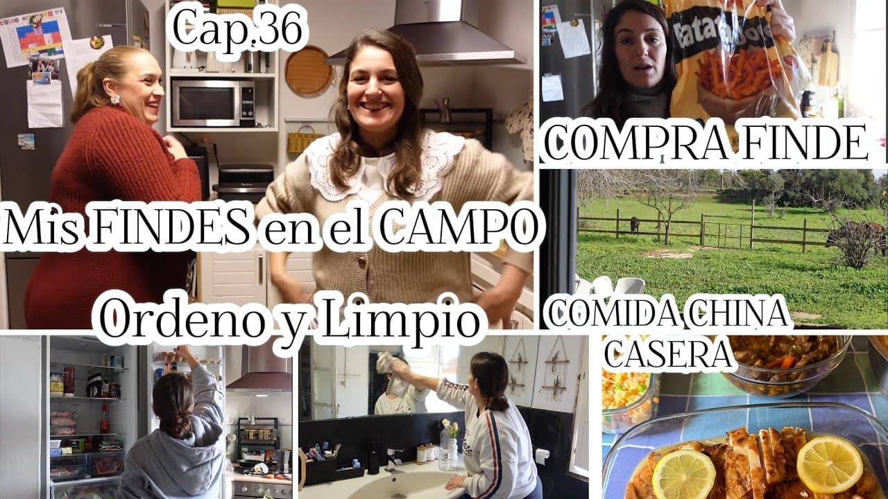 🏡Cap.36 FINDE COMPLETO🍀/Orden y Limpieza/MERCADONA/👩‍🍳Pollo AL LIMÓN y Ternera TERIYAQUI/UltenicU20