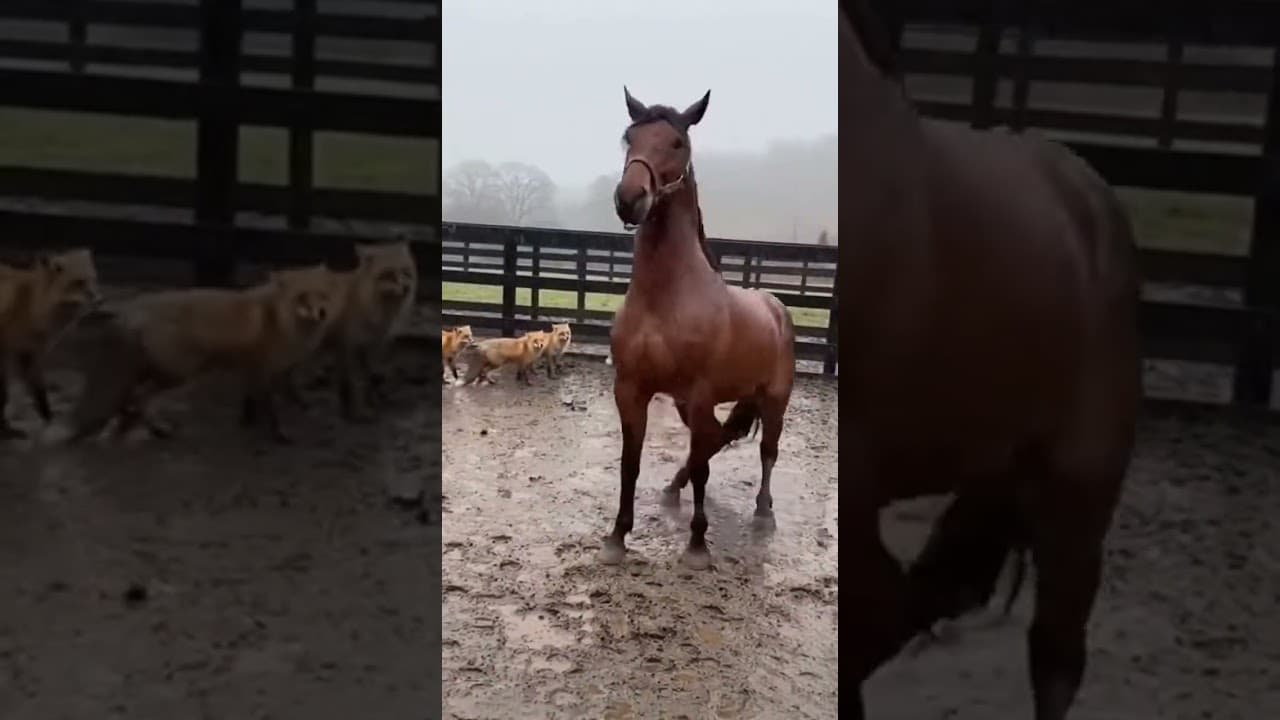 A Sudden Burst of Power