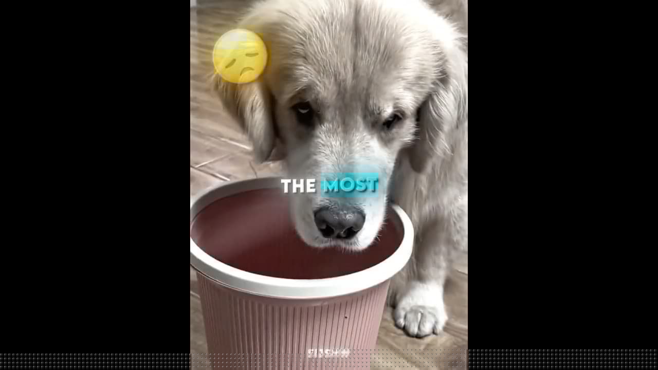 This Woman Acted Too Soon…😓❤️‍🩹 #shorts