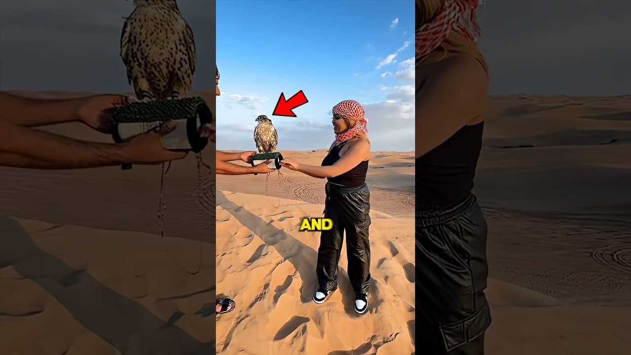 Dubai Eagle Fail (@red_sand_desert_tours) 😂