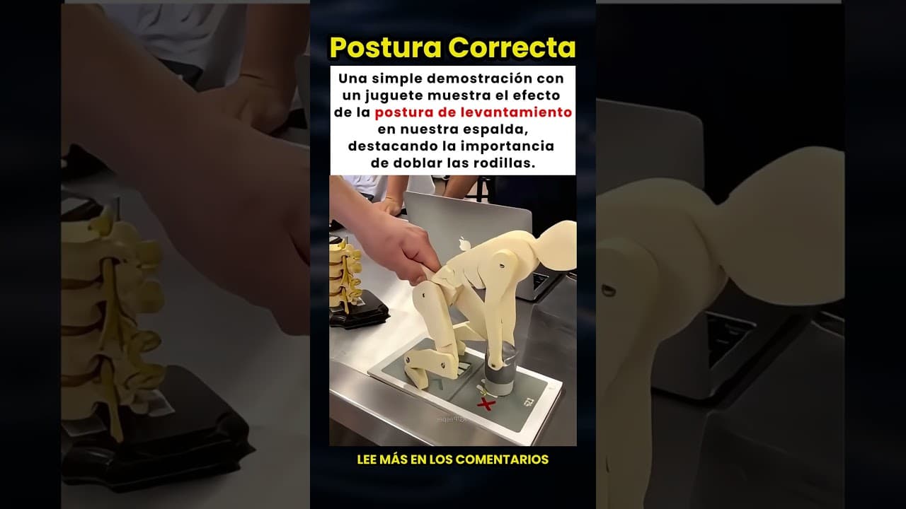 ¿Cómo afecta la postura al levantar peso a tu columna? ¡Este juguete lo explica! 💪