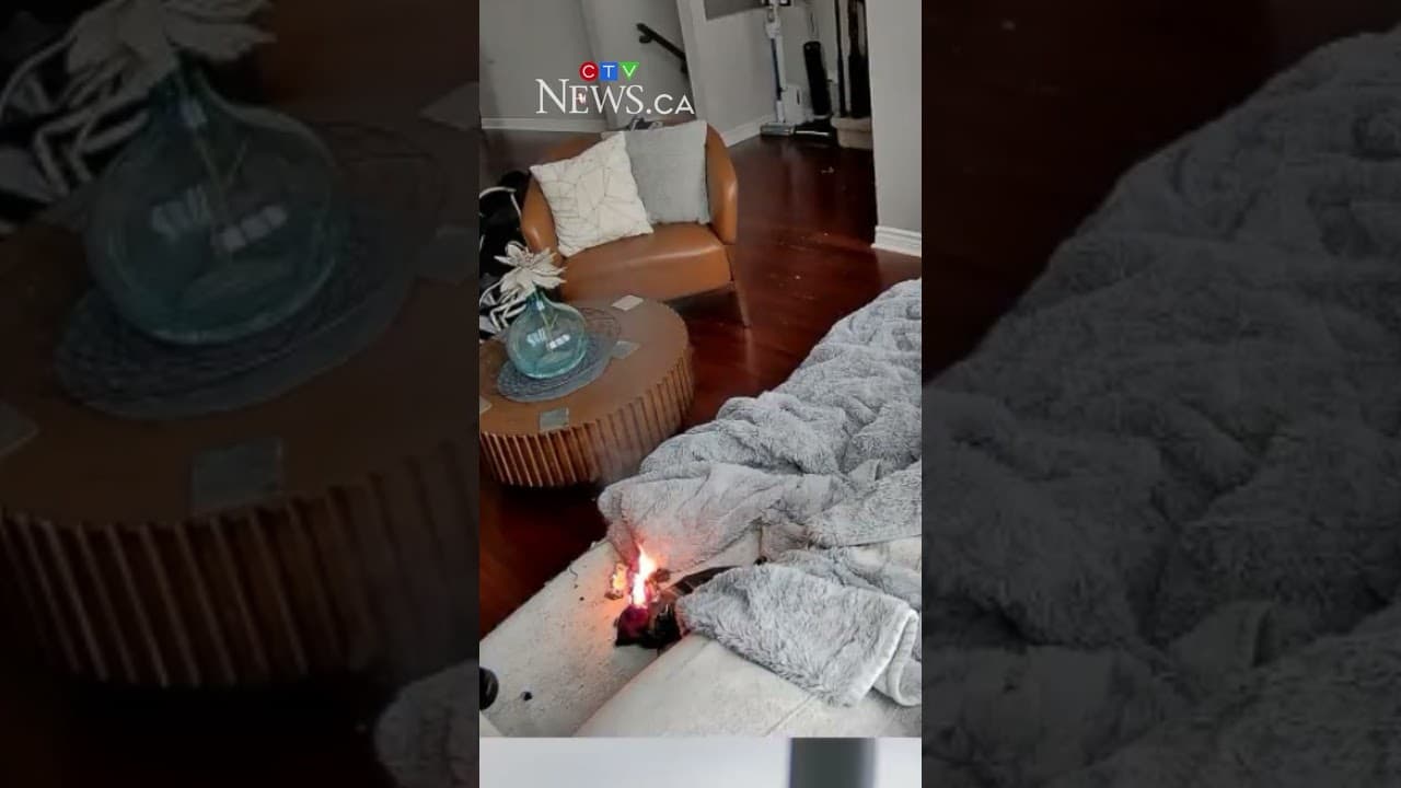 Dog’s makeshift chew toy sparks house fire in Ottawa