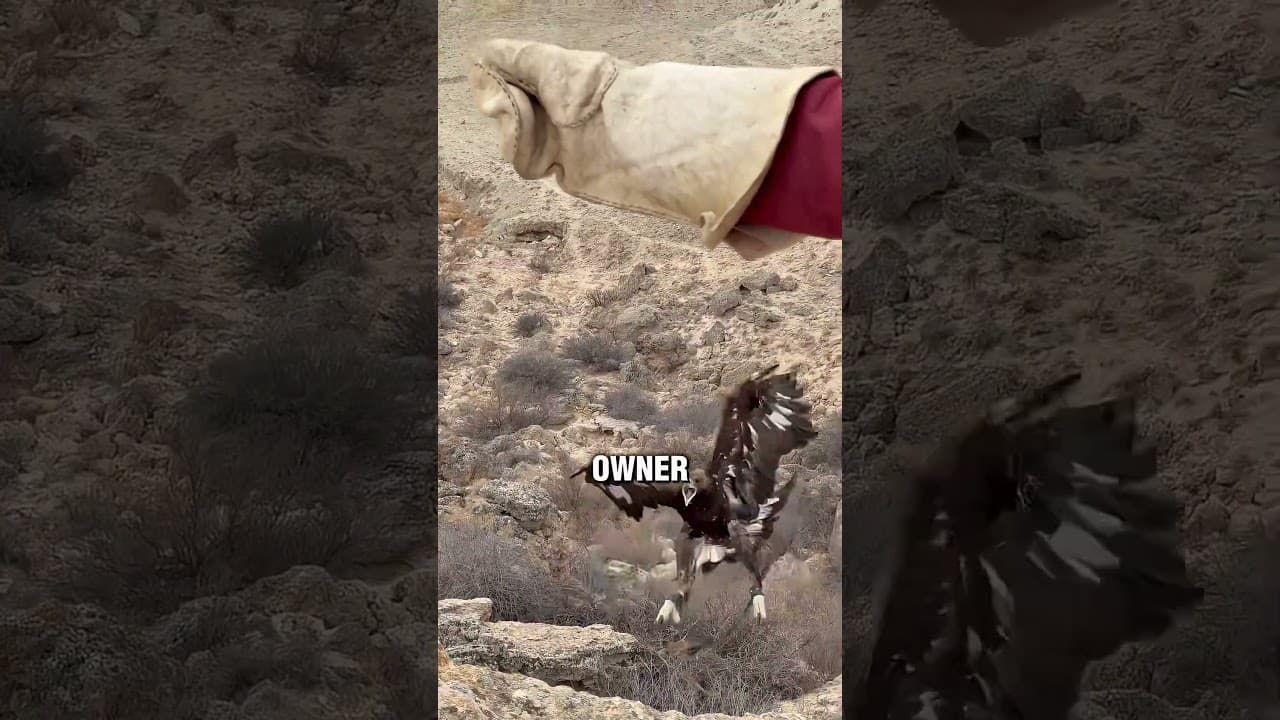 Everyone deserves a first mistake 😊❤️