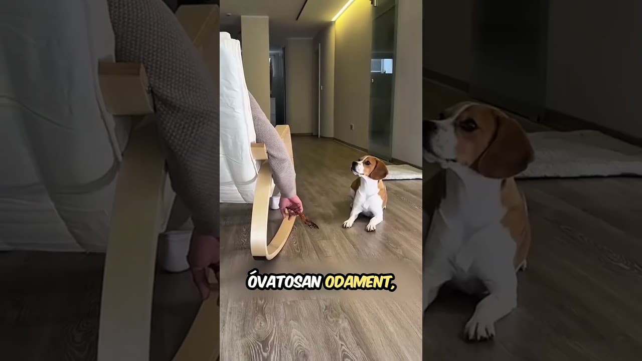 kilopja a kezéből...😮 #magyar  #shorts #ai  #aivideo