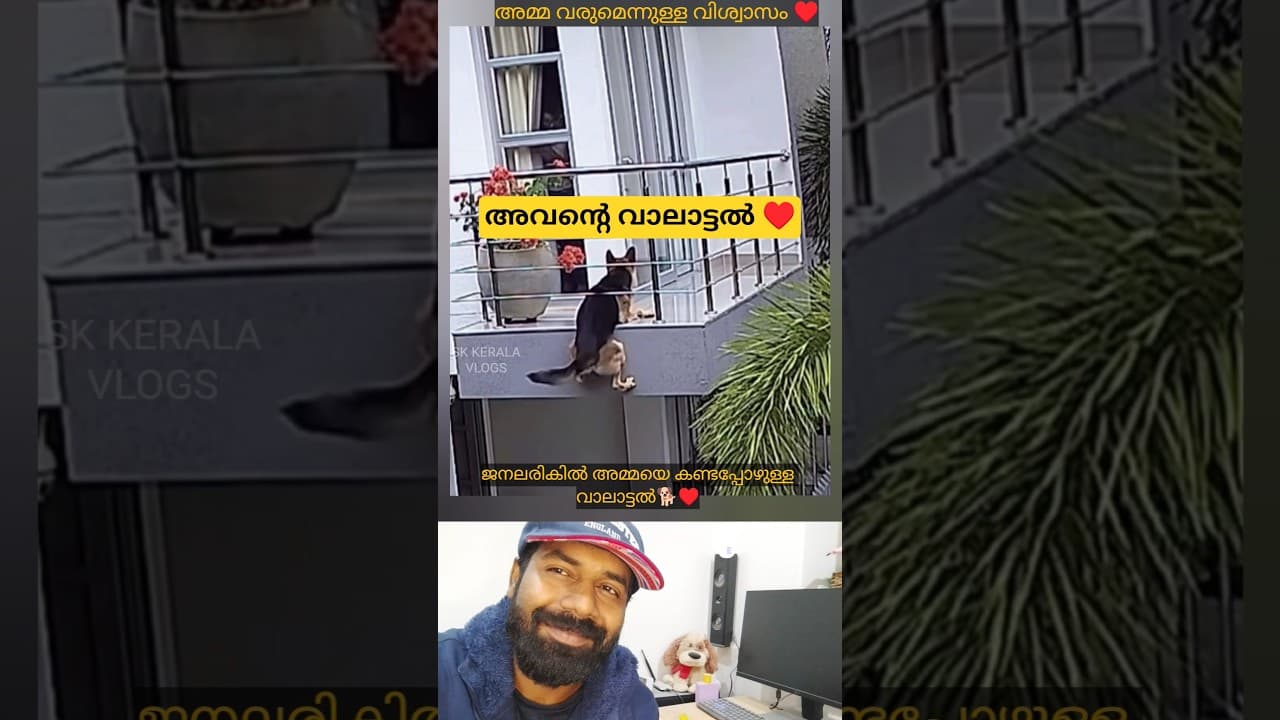 അമ്മ വരുമെന്ന വിശ്വാസം ♥️