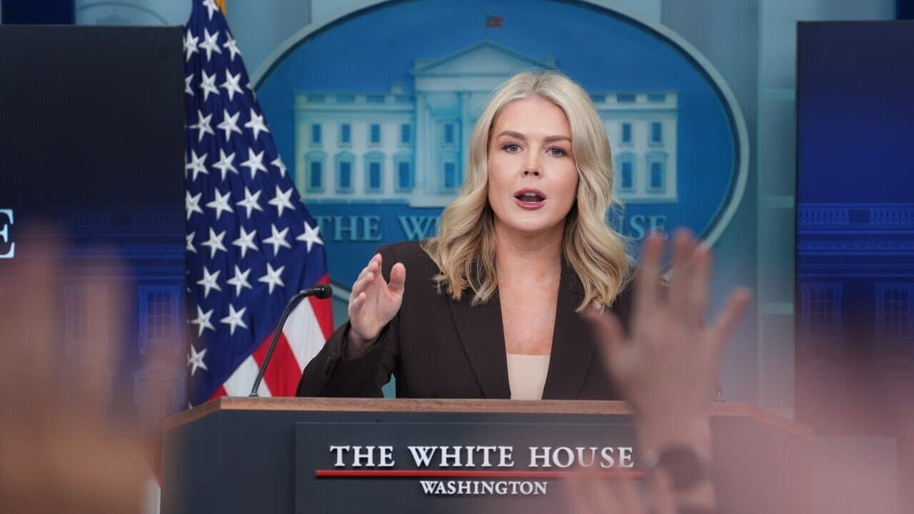 ICE arrests mother of White House press secretary Karoline Leavitt’s nephew