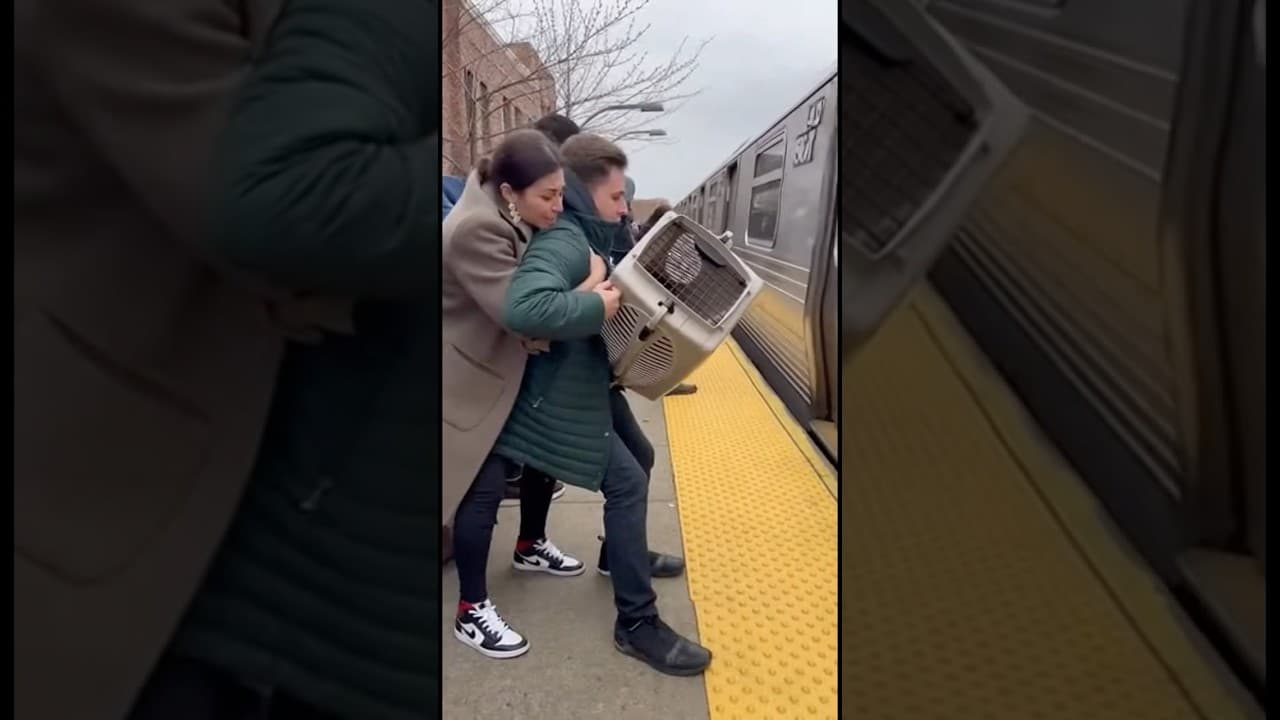 “They Just Stood but He Moved Right Away — Is He the kind of Person Who Goes to Heaven #cat #shorts