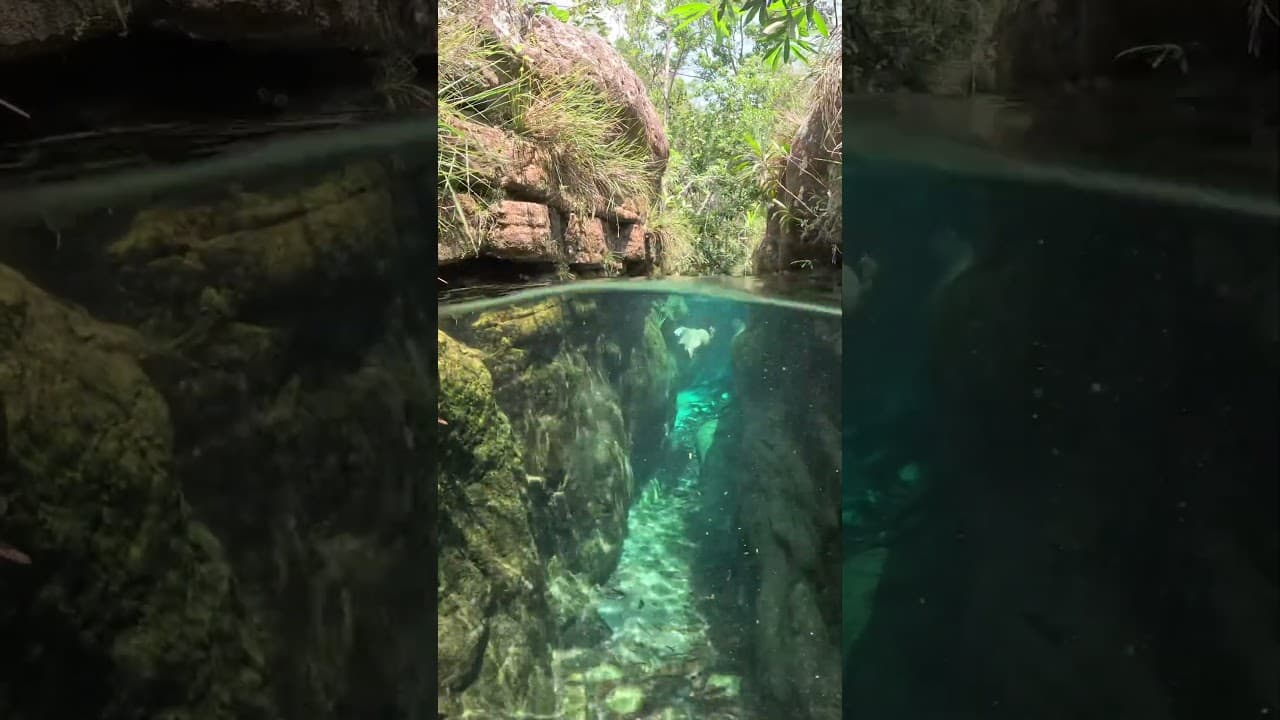 Barra do Garças no Mato Grosso, Brasil 🇧🇷 #travel #nature #turismo