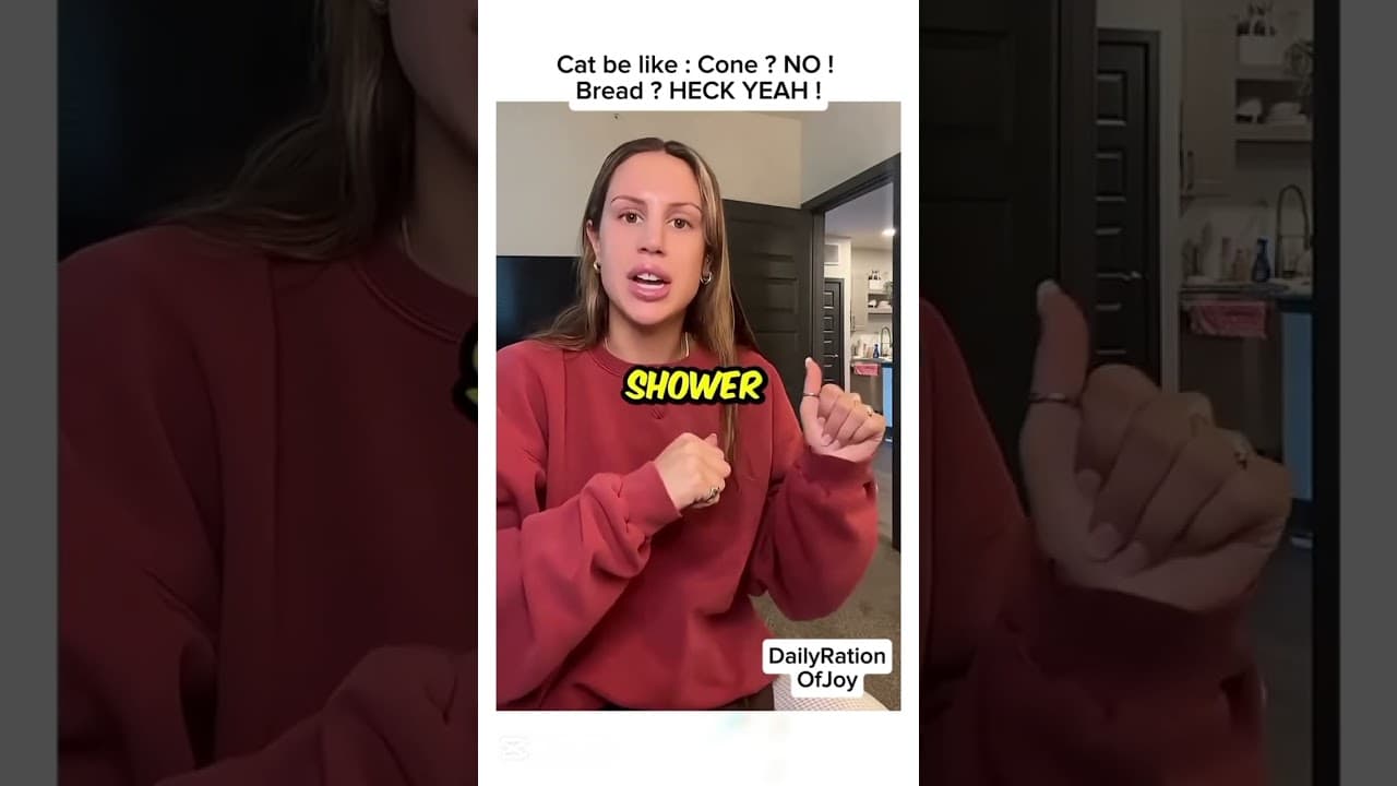 Cat loves bread - Welcome to your daily ration of joy ! #shorts #viral #funny #cat #cute