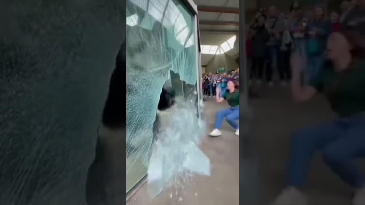 She ran out the building! 🤣🦍