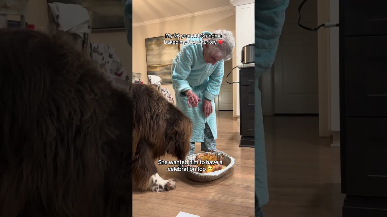 Dogsgiving 🥹🐾❤️🥰