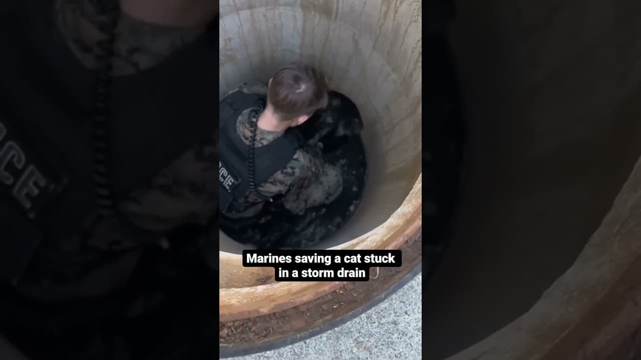 Marine saves a cat from a drain system