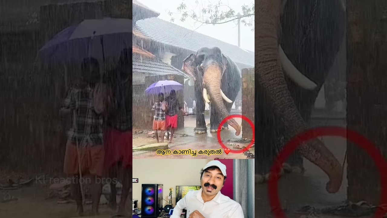 ഞാൻ ഒന്നും മറക്കില്ല #viral #malayalam #short