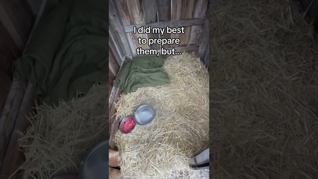 Happy turkey day! #wholesome #animals