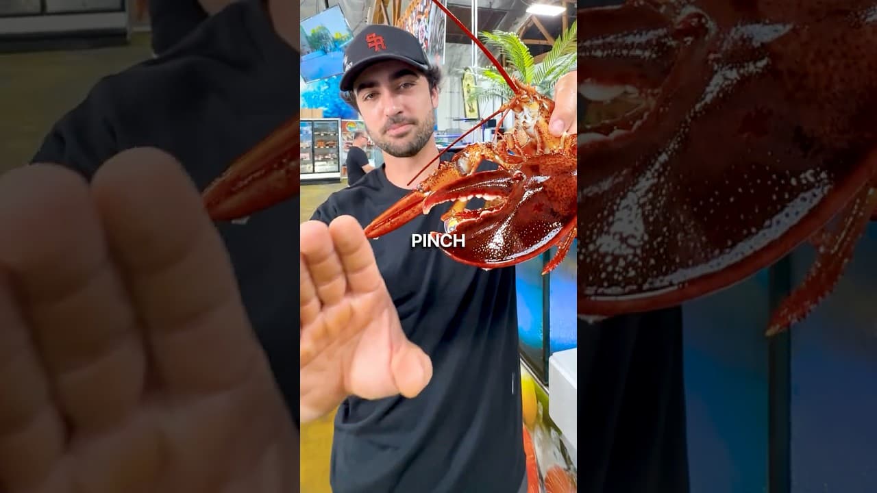 Lobster vs Finger