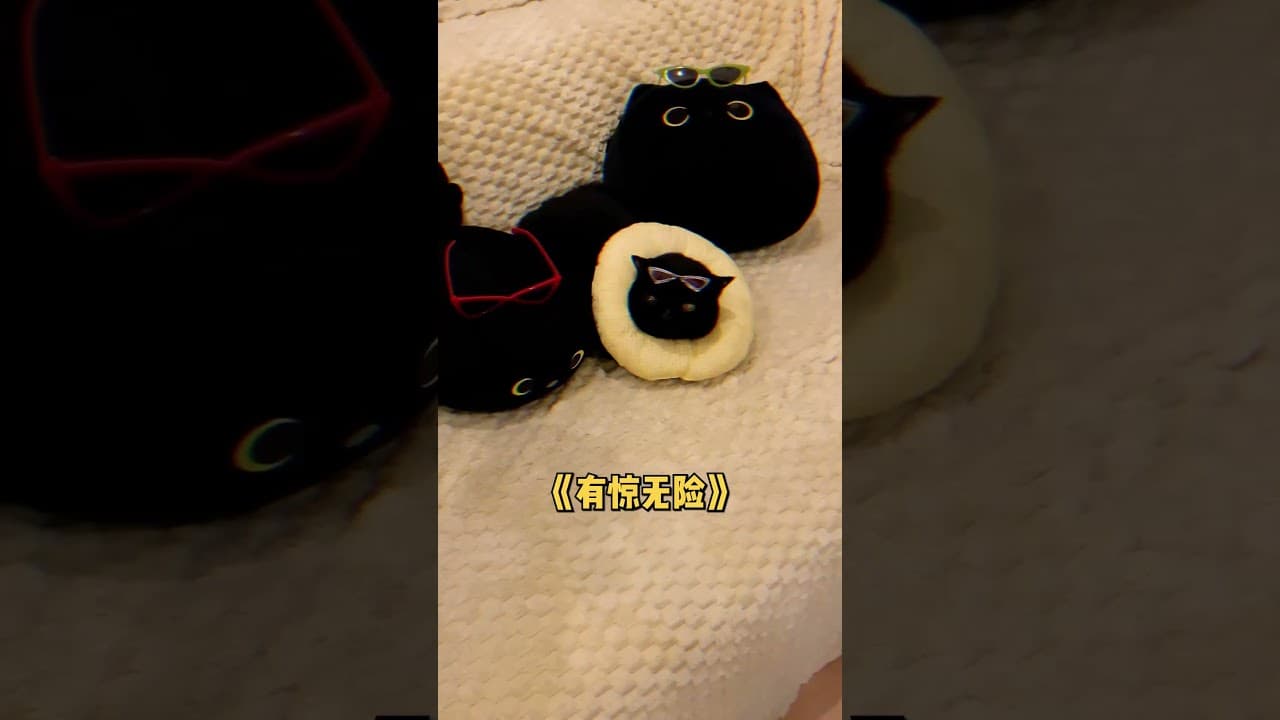 【珠珠的日常】當不讓養貓的房東突擊上門檢查… 幸好我家黑貓們個個身懷絕技！