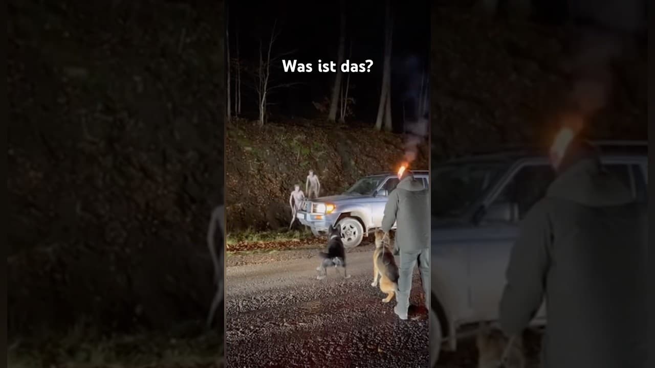 Vom bewaldeten Hang stiegen blasse Wesen herab und näherten sich lautlos.