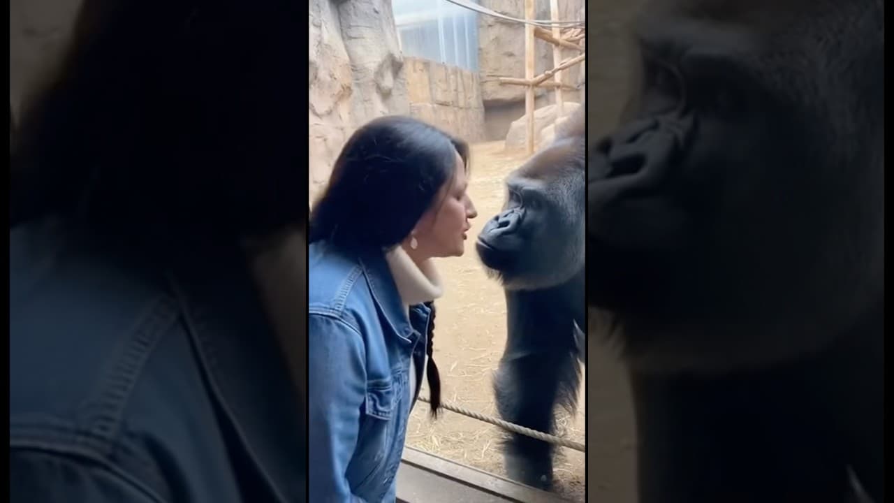 Everyone wants a kiss😍😆 #funny #animals