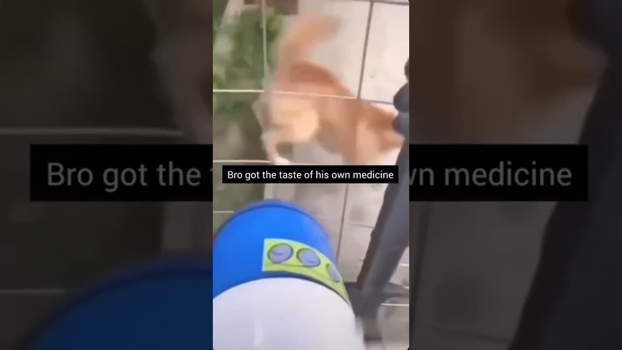 bro got a taste of his own medicine