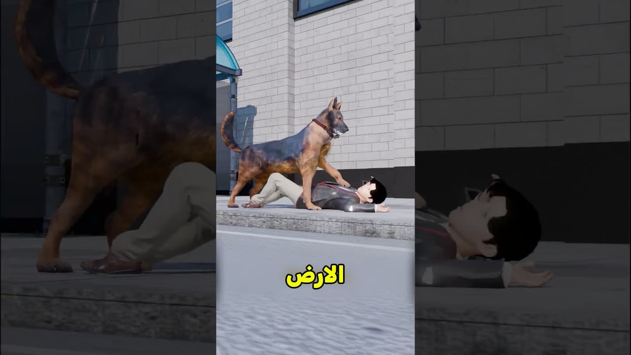 الكلب أنقذ حياته 😨 #shortvideo