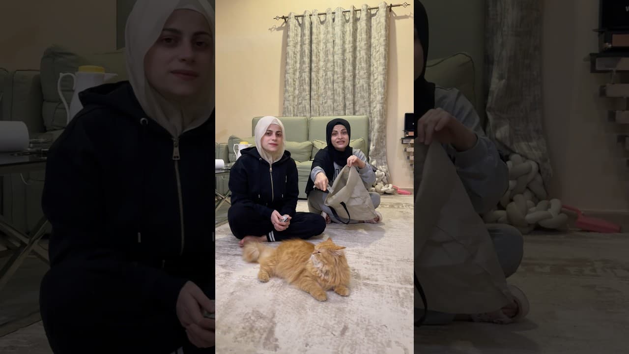 تحدي القطة ام سيف ونانو