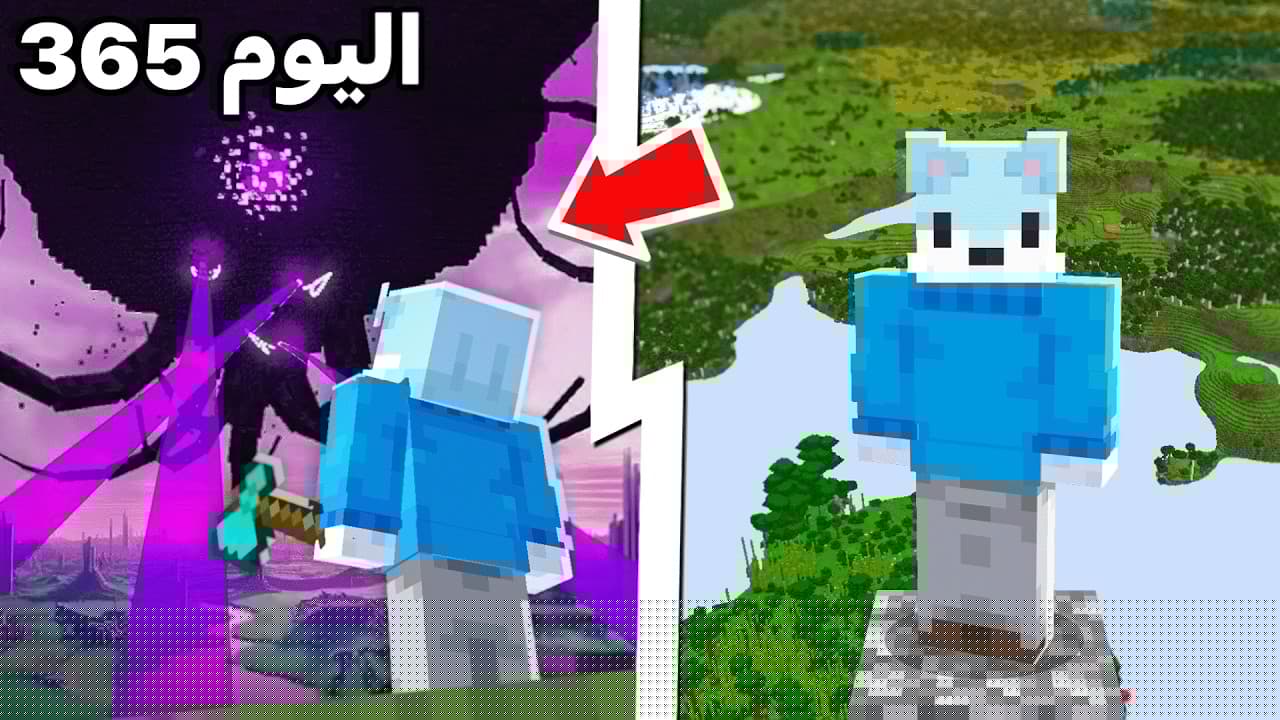 قضيت 365 يوم فوق السماء! (الجزء الثاني)