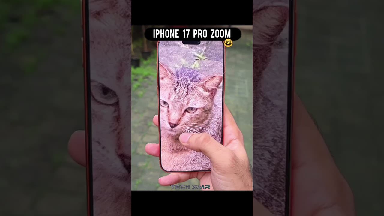 Iphone vs Samsung Zoom Test ☠️#shorts #iphone #samsung #zoomtest