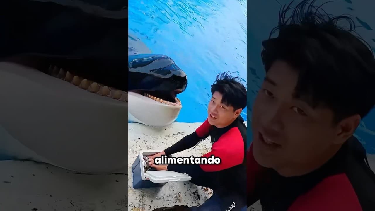 El hombre que entró en la boca de la ballena 😯
