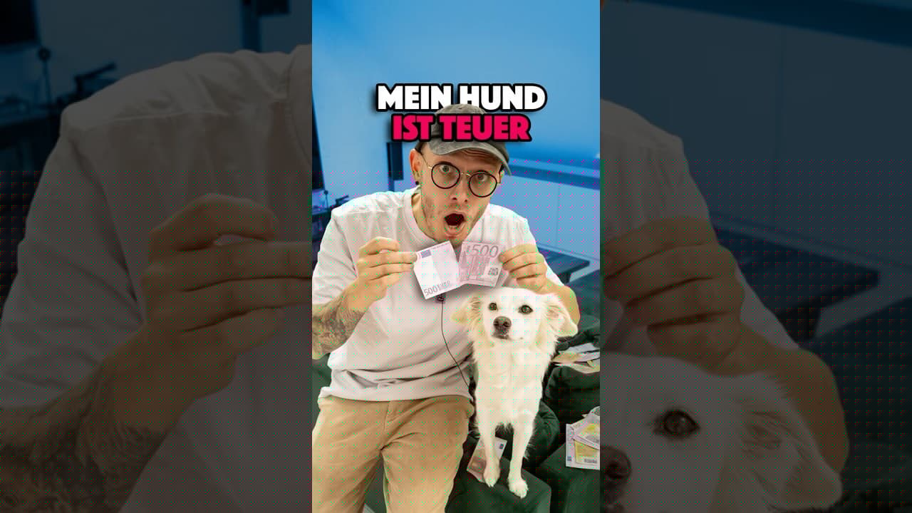 110€ SPIELZEUG vs. 0€ SOCKE 🐶 #shorts #hund #vlog