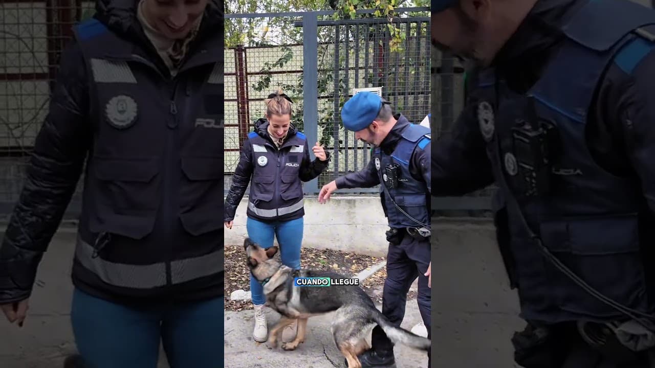 Me pillará un perro policía la bolsa de Coca???? 😏