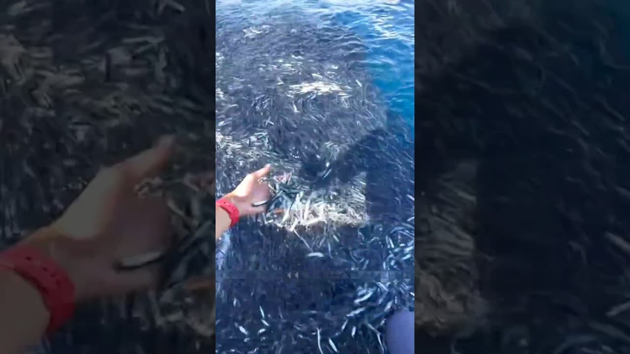 भाई साहब ऐसी फिशिंग नहीं देखी होगी आपने  ”!।।#ytshorts #deepseafishing#oceanadventure#viralfishing