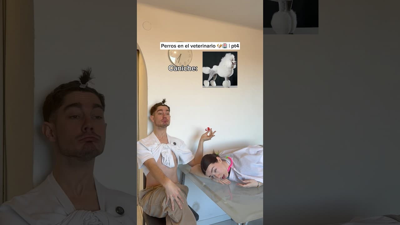 El final🤣@lauretaggz  #humorperros #humorviral #humormascotas #perrosderisa #memesdeperros