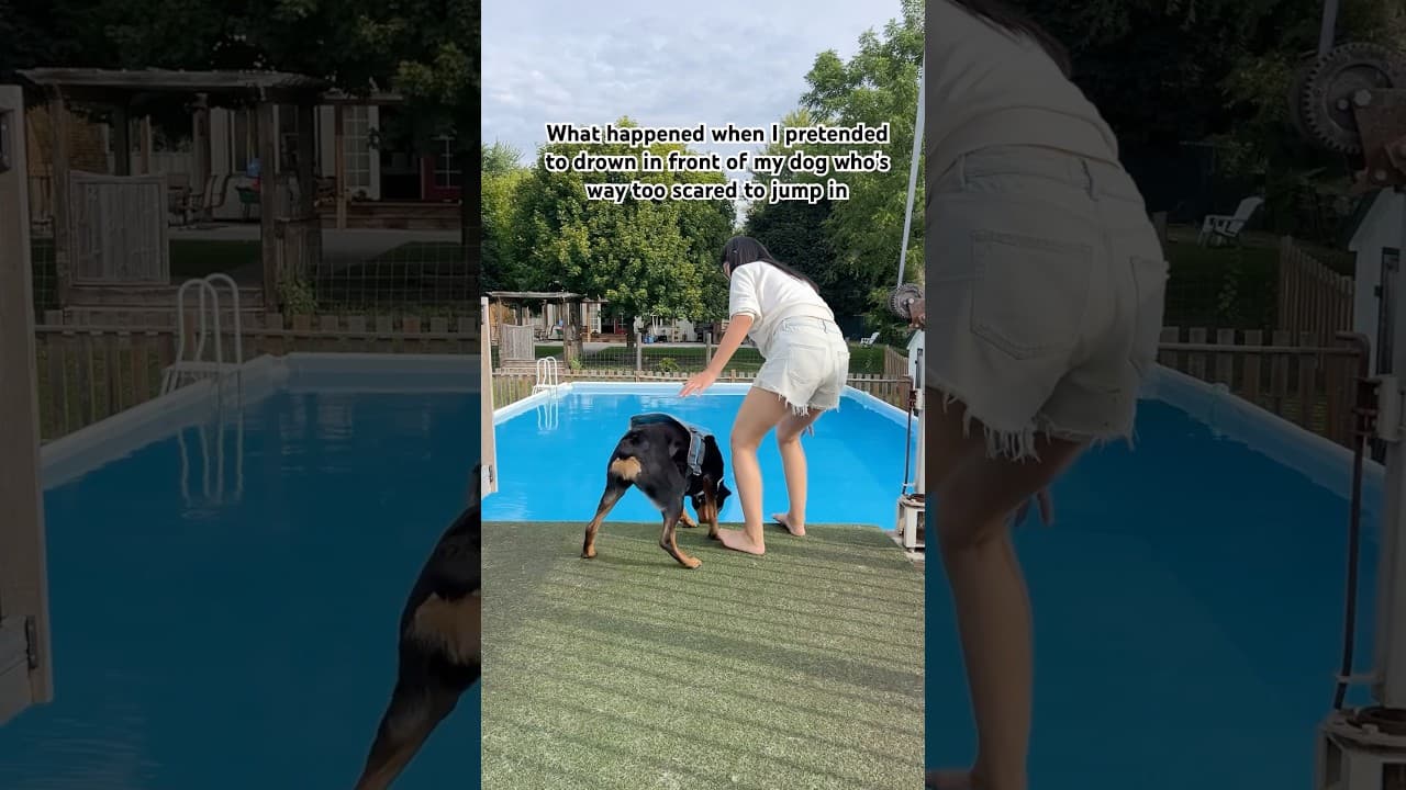 My dog’s reaction when I pretended to drown in front of her #shorts
