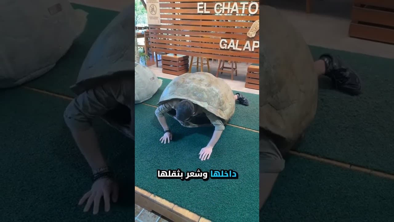 لحظة اكتشف فيها ما هو سر بطء السلحفاة! 😲 🐢