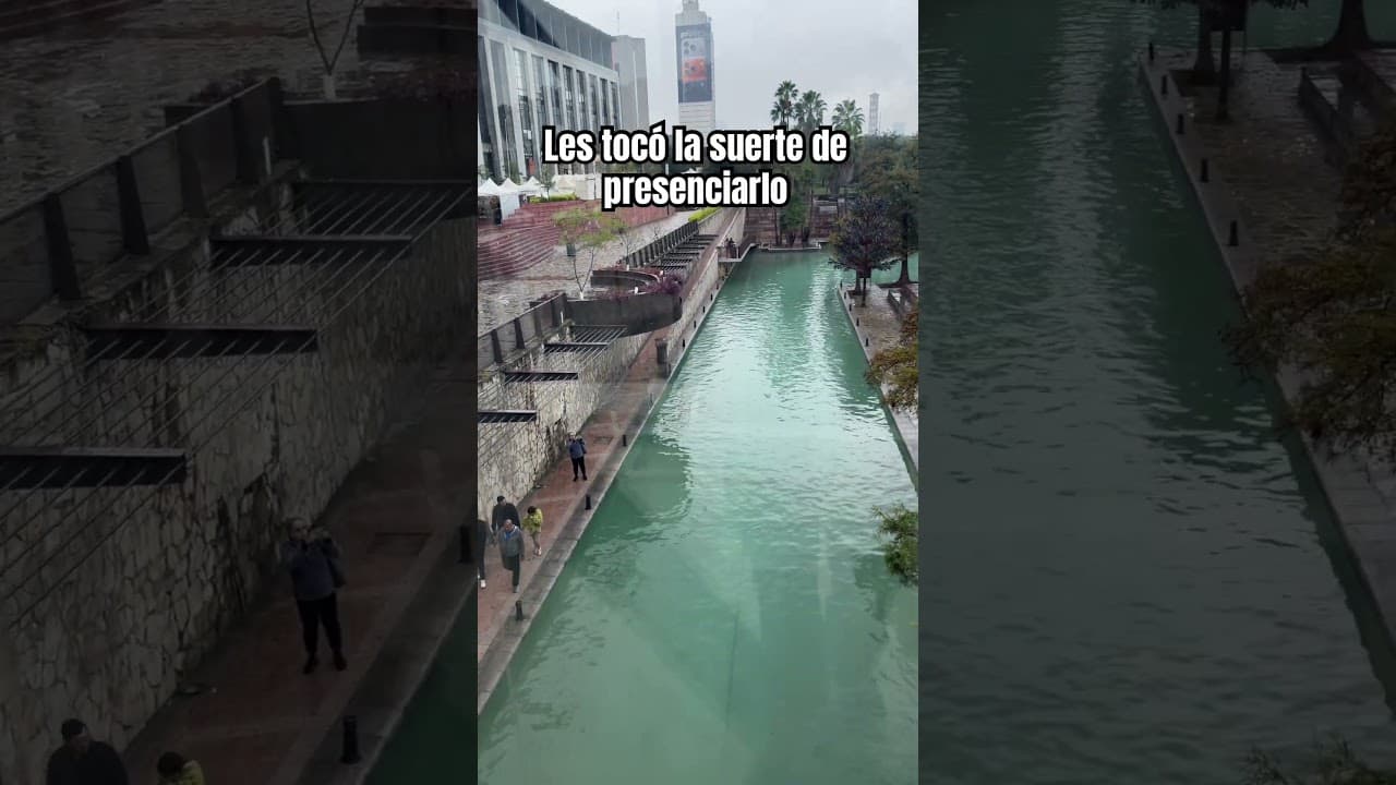 Se tomaron muy seriamente el diseño de esta ciudad 😮